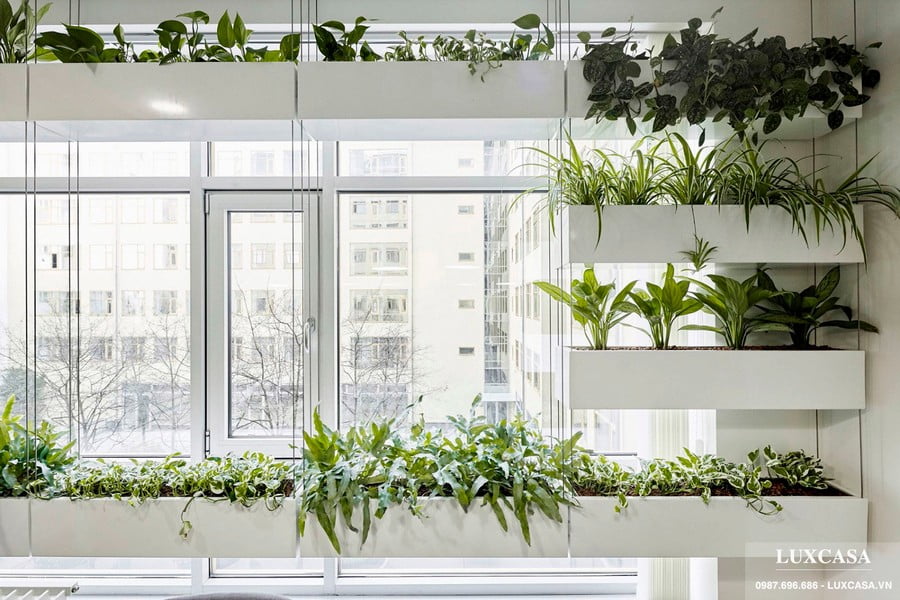 thiet ke thi cong van phong xanh 1