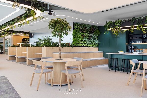 Khu vực pantry văn phòng xanh