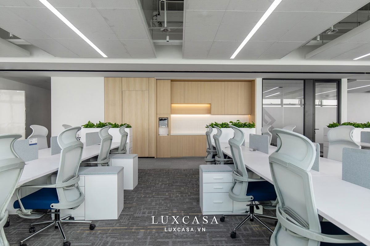 noi that van phong lam viec