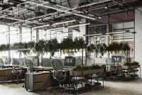 Thiết kế văn phòng làm việc chung phong cách Bắc Âu