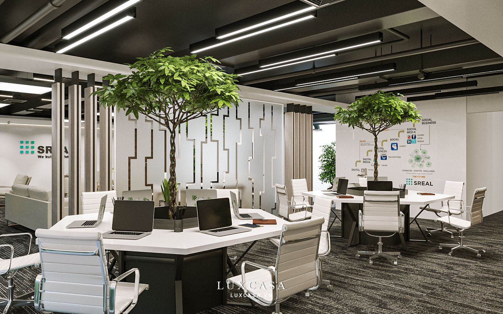 Cây xanh thường được sử dụng trang trí văn phòng 