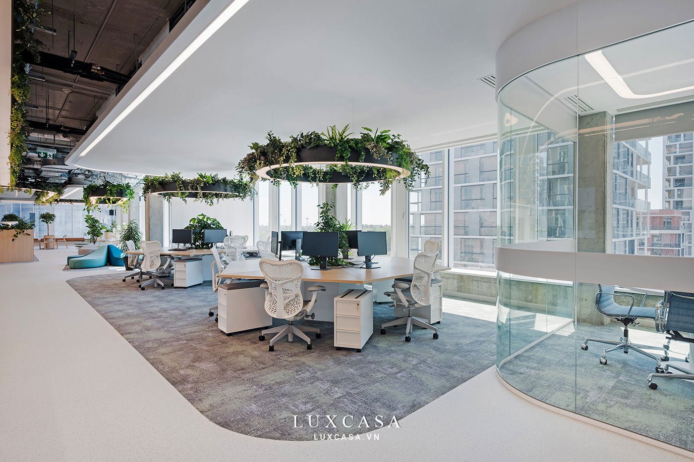 thi cong van phong mo cong ty ecomec