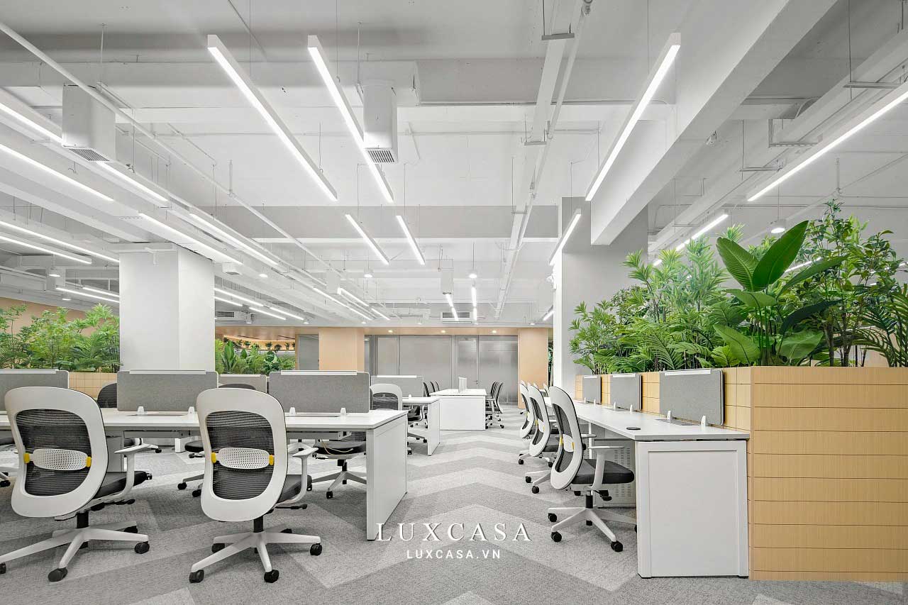Thiết kế nội thất văn phòng công ty Noway