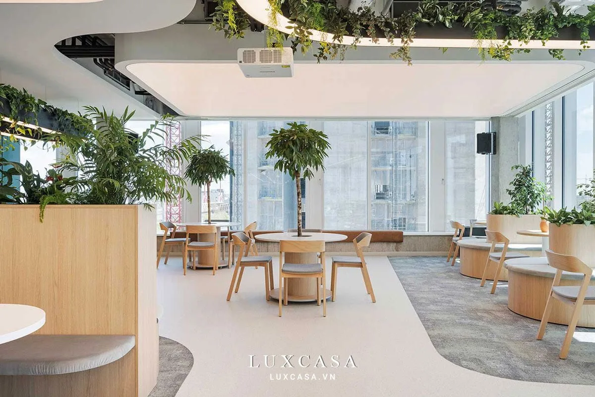 Thiết kế văn phòng không gian mở